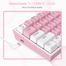 Redragon K617 FIZZ Wired RGB Gaming Compact Mechanical Keyboard image