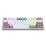 REDRAGON K617 FIZZ RAINBOW WIRED GRAY WHITE MECHANICAL KEYBOARD image