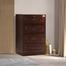 Regal Noor Wooden Chest of Drawer | CDH-316-3-1-20 | image