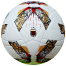 AEA Official Club Football - Size 5 - Multicolor image