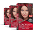 Revlon Colorsilk Hair Color- 2WB Deep Rich Brown image