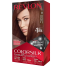 Revlon Colorsilk Hair Color- 4RB Medium Reddish Brown image