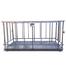 RFL Animal Scale Premium image