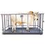 RFL Animal Scale Premium image