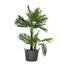 Rfl Flexible Tub 26L Silver image