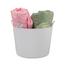 Rfl Flexible Tub 42L White image