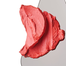 Rhode Pocket Blush-Spicy Marg (Bright Coral) image