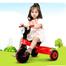 Road Master Tricycle Red and Black image