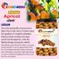 Rongdhonu Premium Apricot -1000gm image