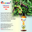 Rongdhonu Premium Organic Joytun Oil(Jaytun Tel) -100ml image