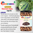 Rongdhonu Premium Watermelon Seed - 500gm image