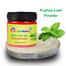 Rongdhonu Pudina Pata (Mint Leaf) Powder - 100 gm image