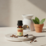 Rongon Herbals Clove Essential Oil - 10 ml image