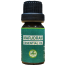 Rongon Herbals Marjoram essential oil - 10ml image