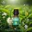 Rongon Herbals Tea Tree Essential Oil - 10 ml image