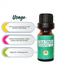 Rongon Herbals Tea tree Essential oil - 10ml image