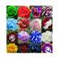 Rose Mixed Seed 