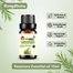 Rosemary Essential oil 10ml image