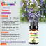 Rosemary Essential oil 10ml image