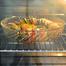 Round Heat Resistant Glass Baking Plate image