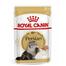 Royal Canin Persian Cat Wet food Loaf 85 gm image