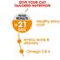 Royal Canin Care Hair And Skin Cat Food - 2kg image