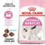 Royal Canin First Age Mother And Baby Cat Food - 400gm image