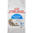 Royal Canin Indoor Long Hair Cat Food - 2 kg image