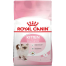 Royal Canin Kitten Cat Food - 2 kg image