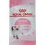 Royal Canin Kitten Cat Food - 400gm image
