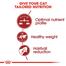 Royal Canin Regular Fit 32 Cat Food - 2kg image