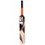 SF Cannon Cricket Bat Kashmir Willow image