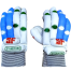 SF Standford Cricket Batting Gloves – Premium Sausage Finger Pads image