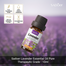 Sadoer Lavender Essential Oil Pure Therapeutic Grade - 10ml image