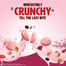 Saffola Muesli Berry Crunch 700gm image