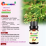 Sandalwood (Chandan) Essential oil -10ml image