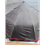 Sankar's Auto Open 10 Ribs Check Border Umbrella image