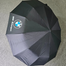 Sankar BMW 12 Sticks Ribs Windproof Umbrella Auto Open-Close image