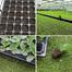 Durable Plastic Seeding Tray Black (72 Big Cell) image