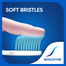 Sensodyne Sensitive Toothbrush Family Pack (Ultra Soft) image
