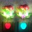 Sensor Flower LED Light - Any Colour and Any Design image
