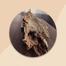 Shamudrik Baim (Kamila) Shutki Fish / Dry Fish Premium Size image