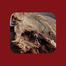 Shamudrik Baim (Kamila) Shutki Fish / Dry Fish Premium Size image