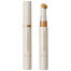 Sheglam Complexion Boost Concealer image
