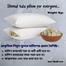 Shimul Tular Head Pillow - Shimul Tular Balish Natural Simul Head pillow 2 pcs standard 18*26 size 1kg Cotton Fabric Head Pillow Mathar balish image