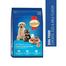 SmartHeart Puppy Dry Dog Food Chicken, Egg and Milk Flavour image