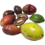 Kath Badam Seeds Almond Seeds 30 Pcs image