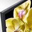 Sony Bravia KD-55X8000G 4K Android Smart LED TV - 55 Inch image