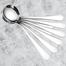 Soup Spoon Set/Spoon Set/Cutlery Set -Stainless Steel-6 Inches image