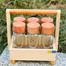 Spice Box Glass Jar with Wooden Lid image